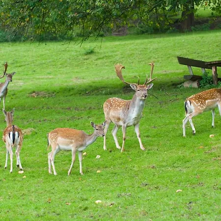 Am Westerwald 3*