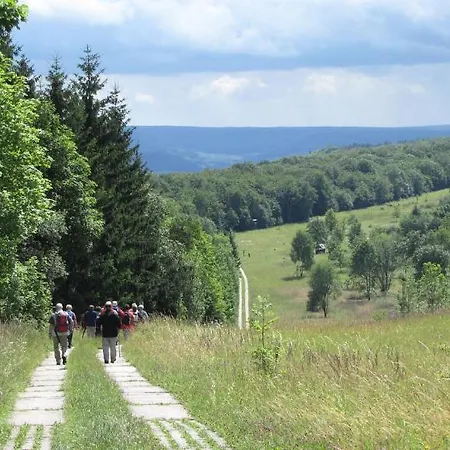فندق Am Westerwald Martinfeld
