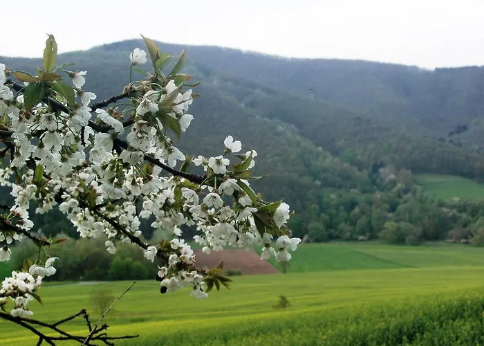 Am Westerwald Martinfeld